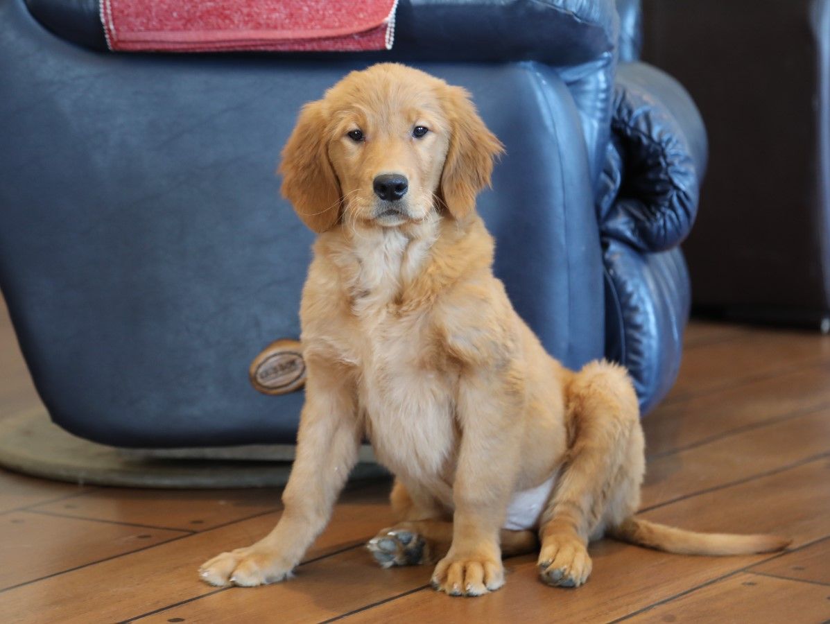 Lucia - Click to meet