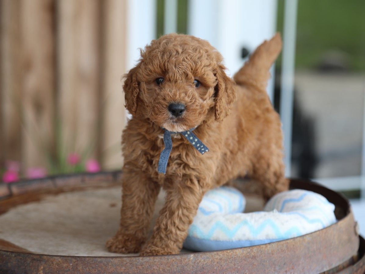 tex (10).JPG