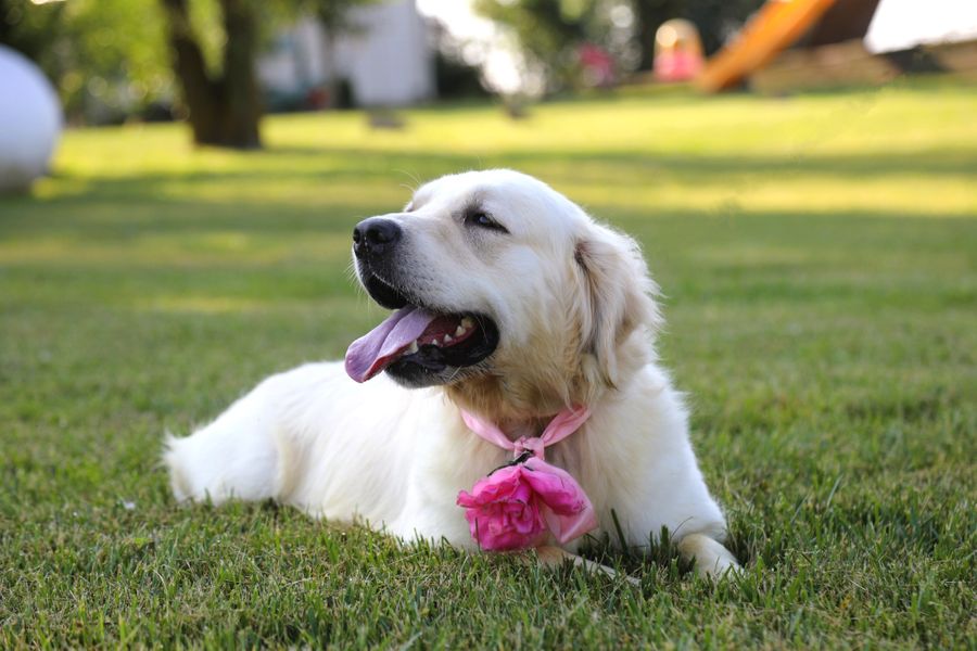 betty (5).JPG