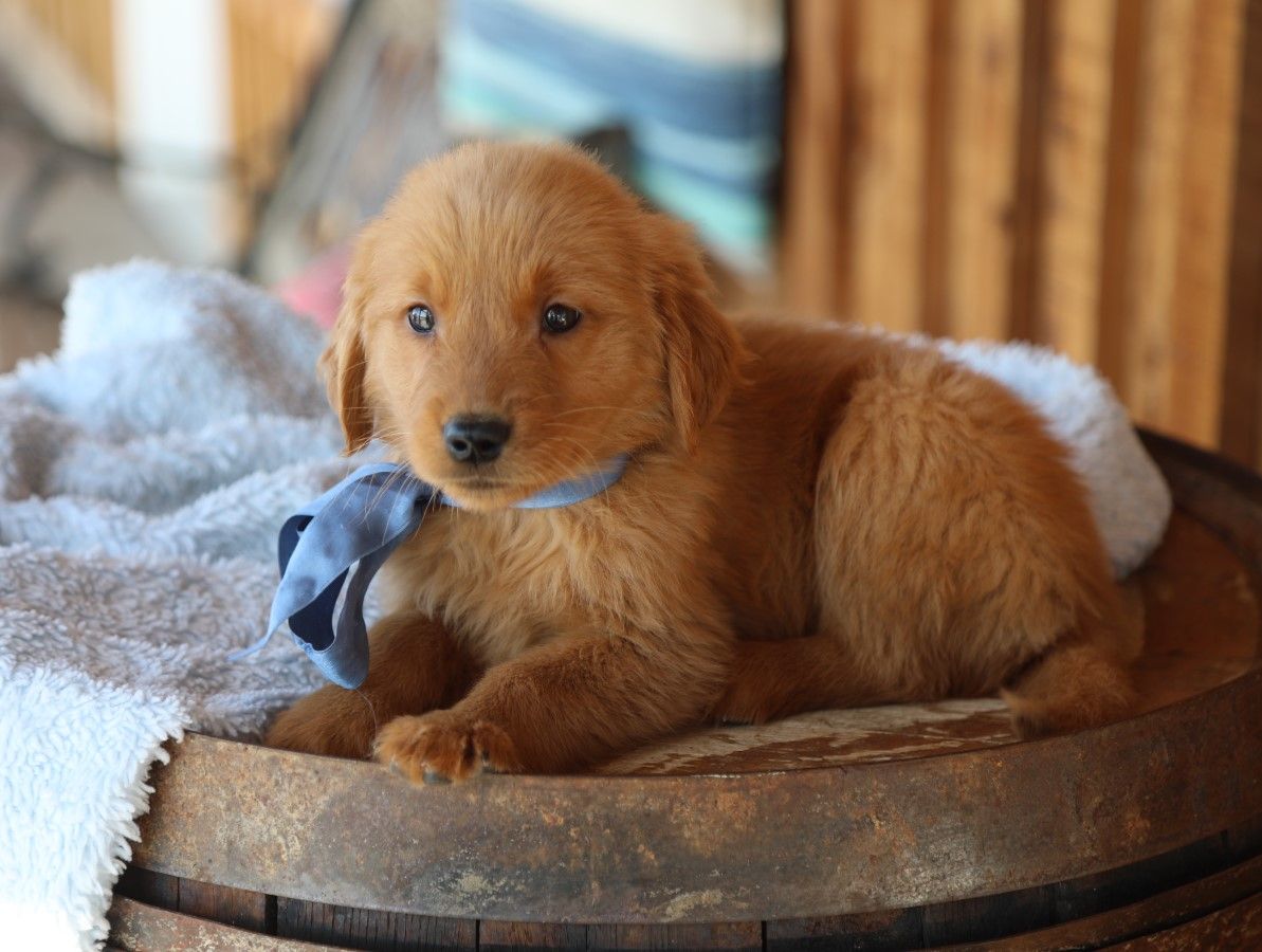 Booker (2).JPG