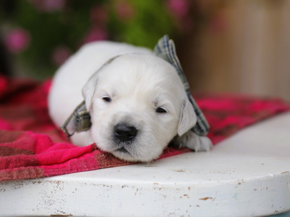 Albert (2).JPG