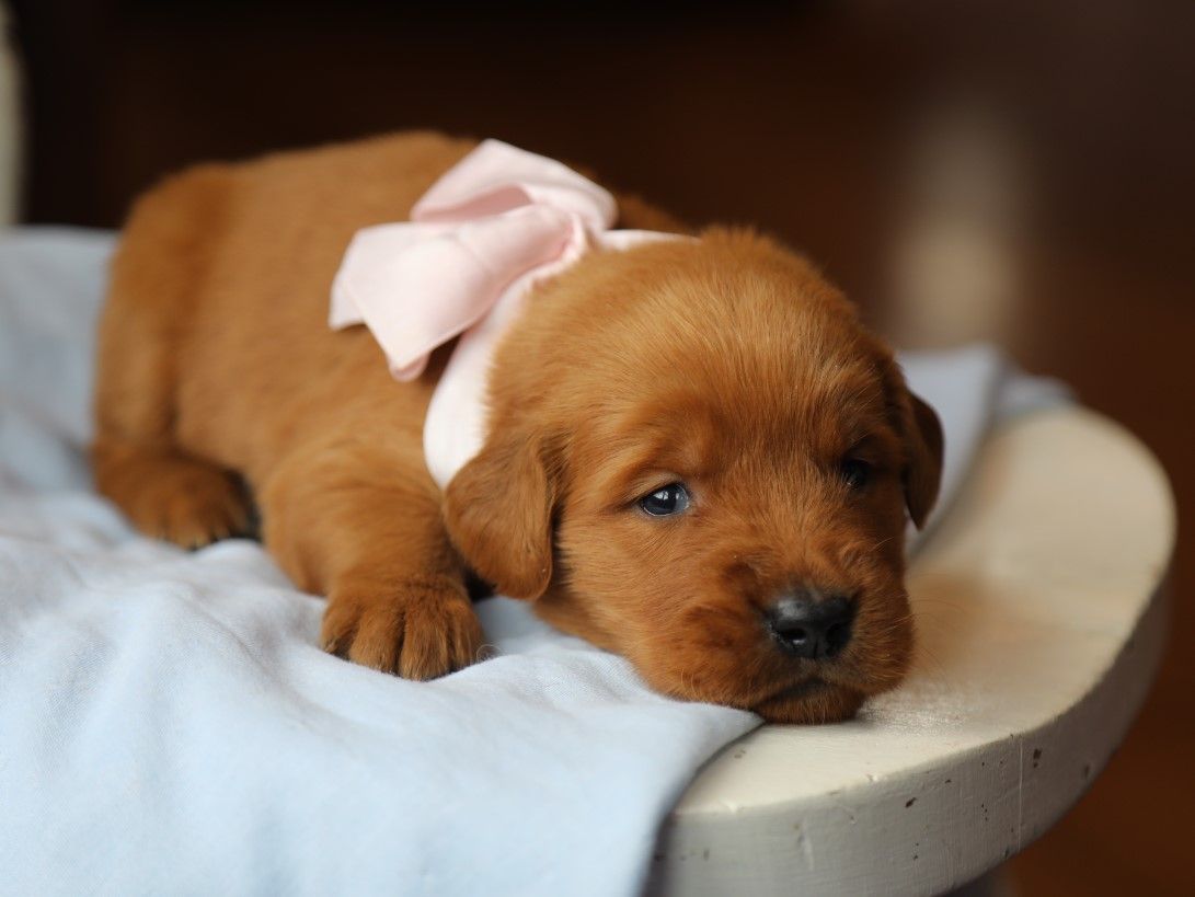 Bree (1).JPG