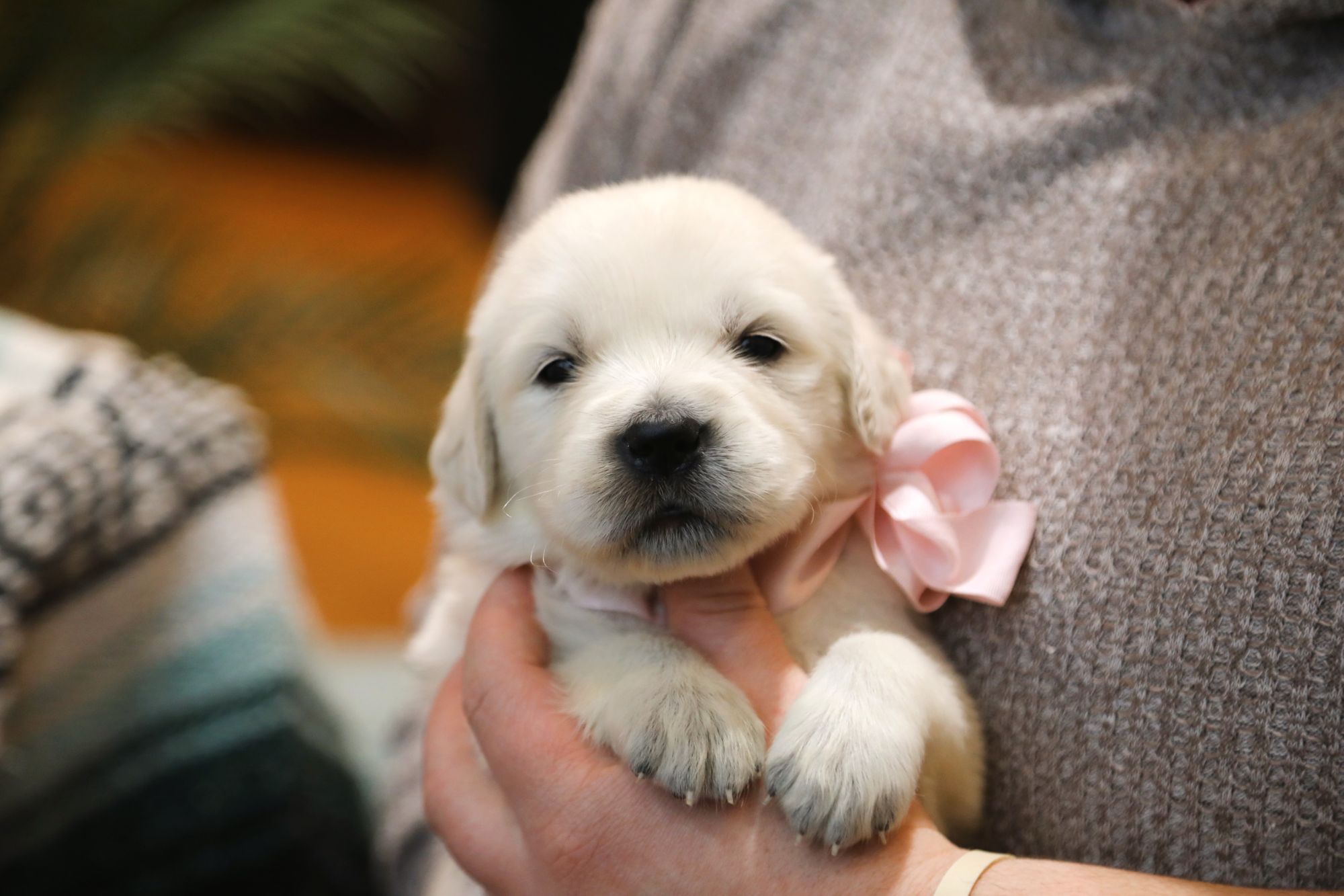  Vikki • Click to meet