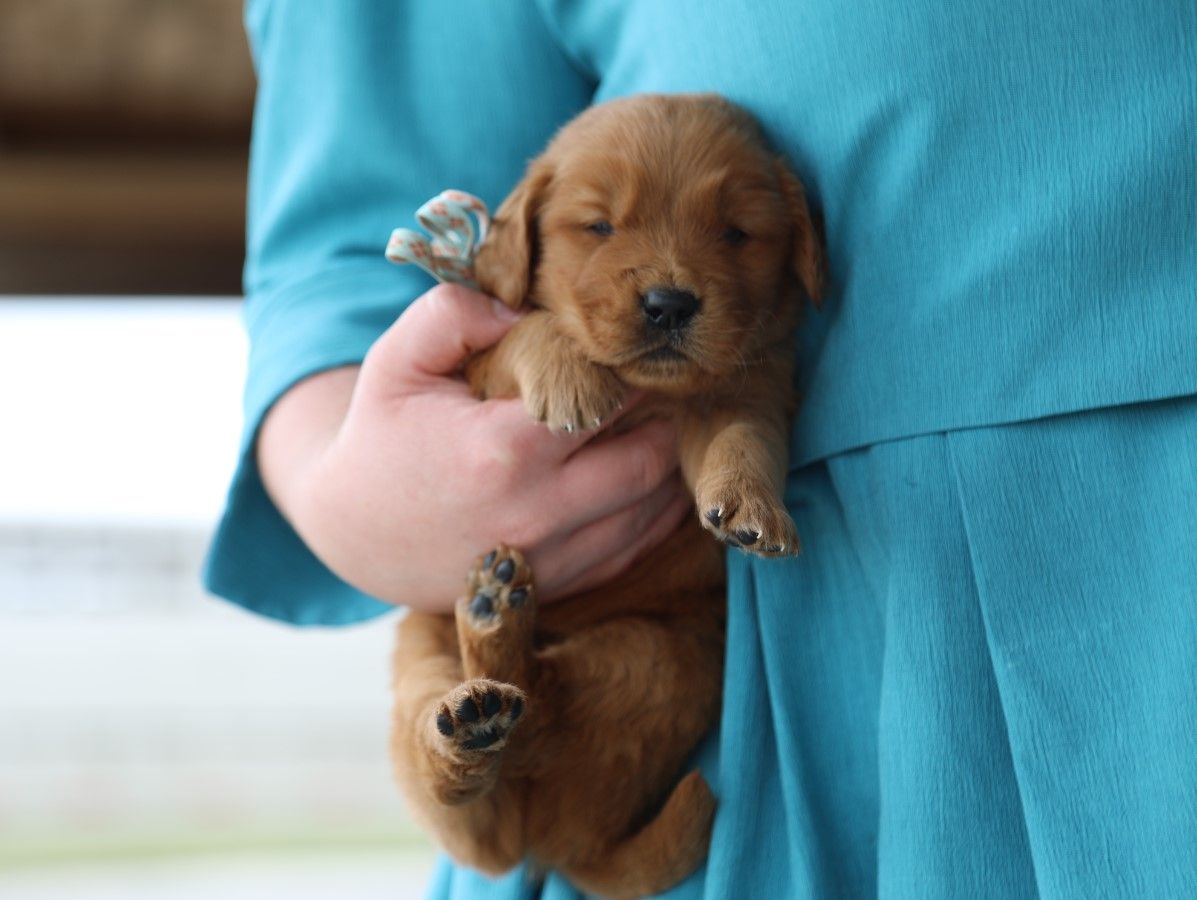 Zane - Click to meet