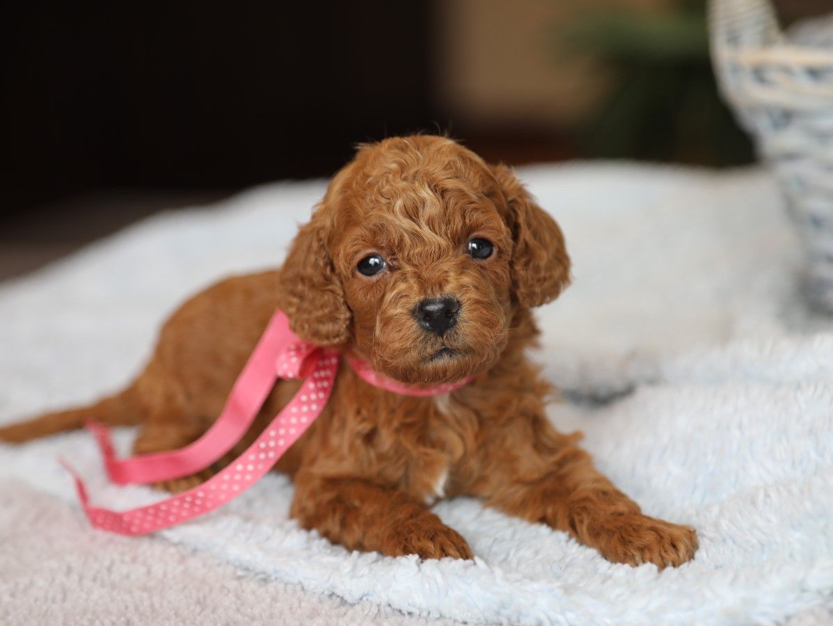 SALLY • RESERVED