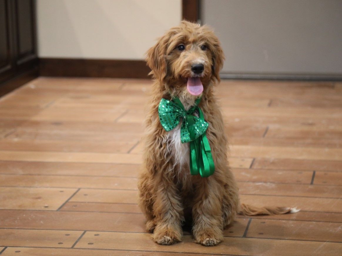  Doug - click to meet
