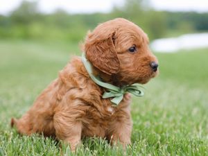 Tex • click to meet