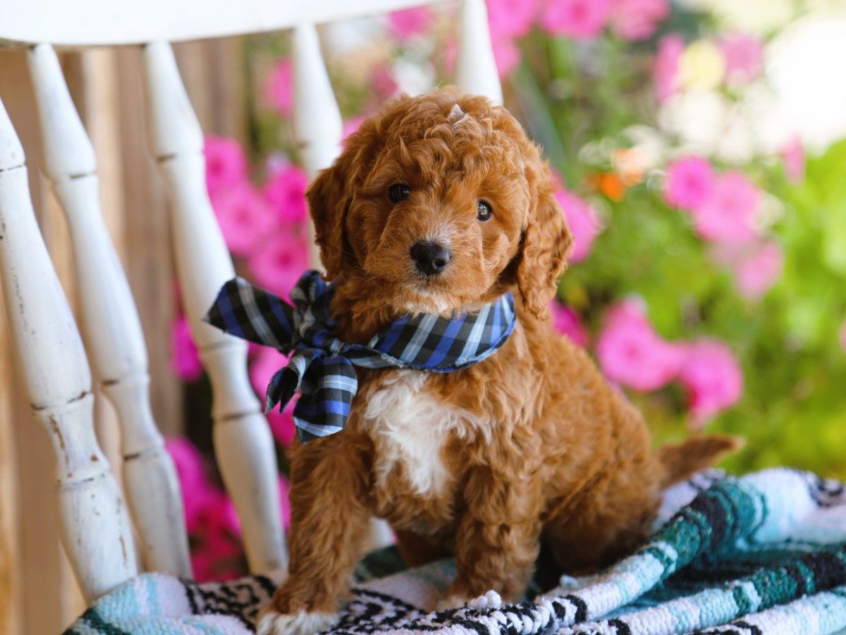 finnegan (3).JPG