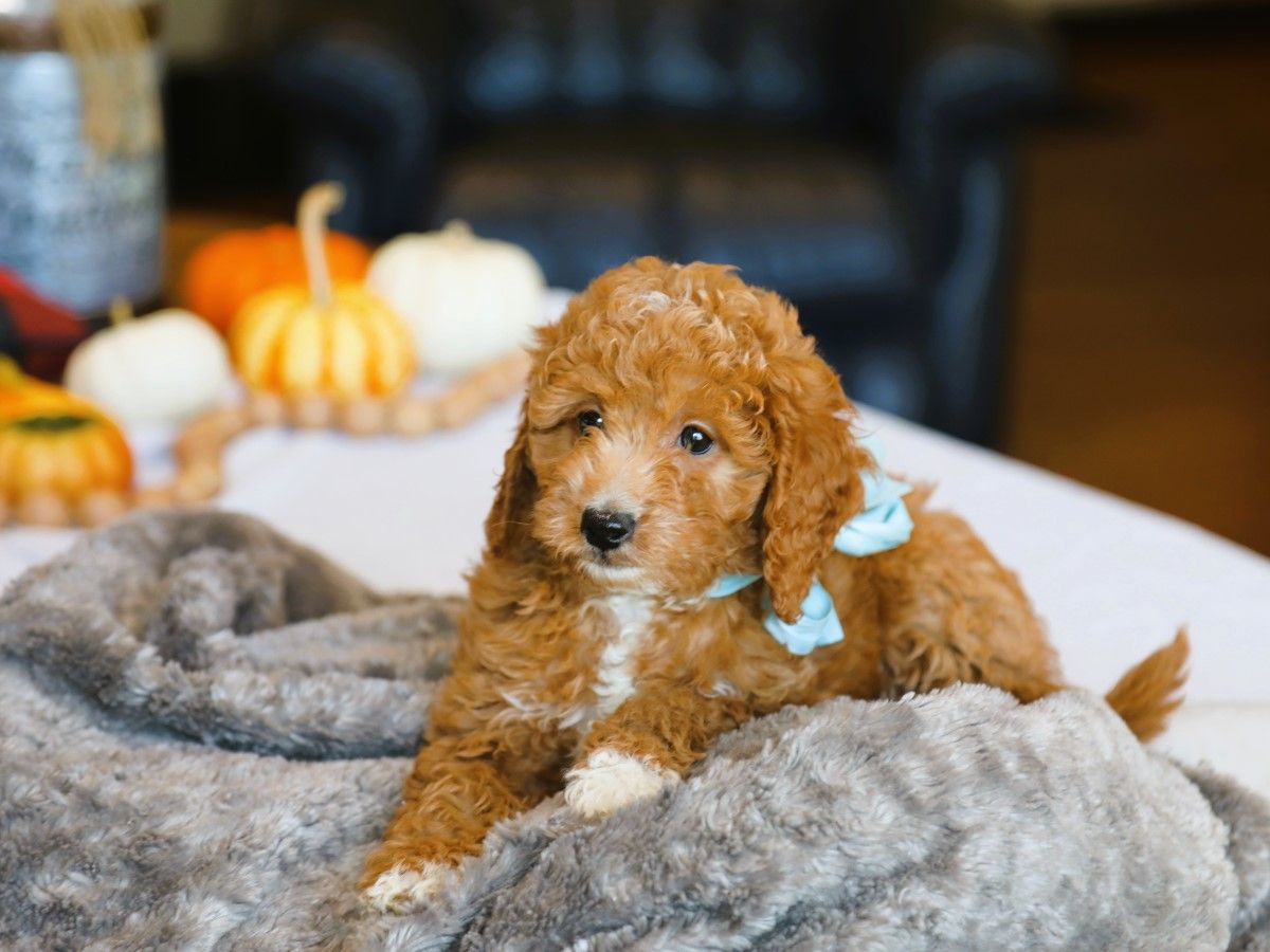 finnegan (4).JPG