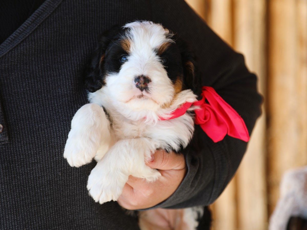 Claire • Click to Meet