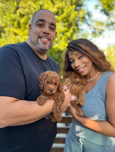 Cerritos, California TOFFEE • HOMED