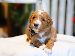 Jamie • click to meet