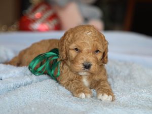 Fisher • click to meet