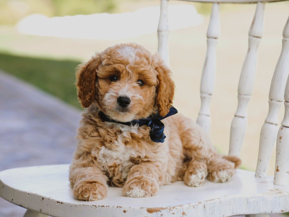 malcolm (2).JPG