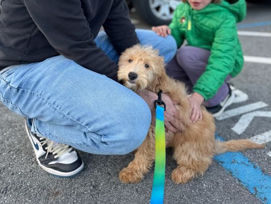 San Francisco CA ROYAL • HOMED