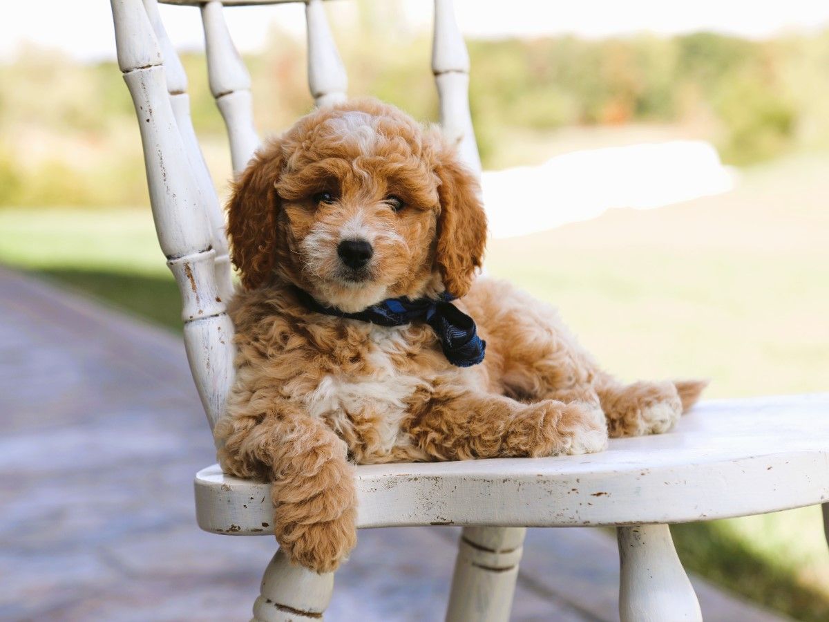  Malcolm • click to meet