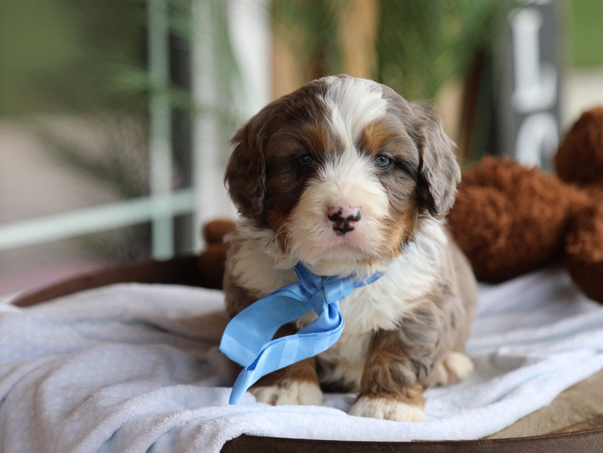 FINN • RESERVED