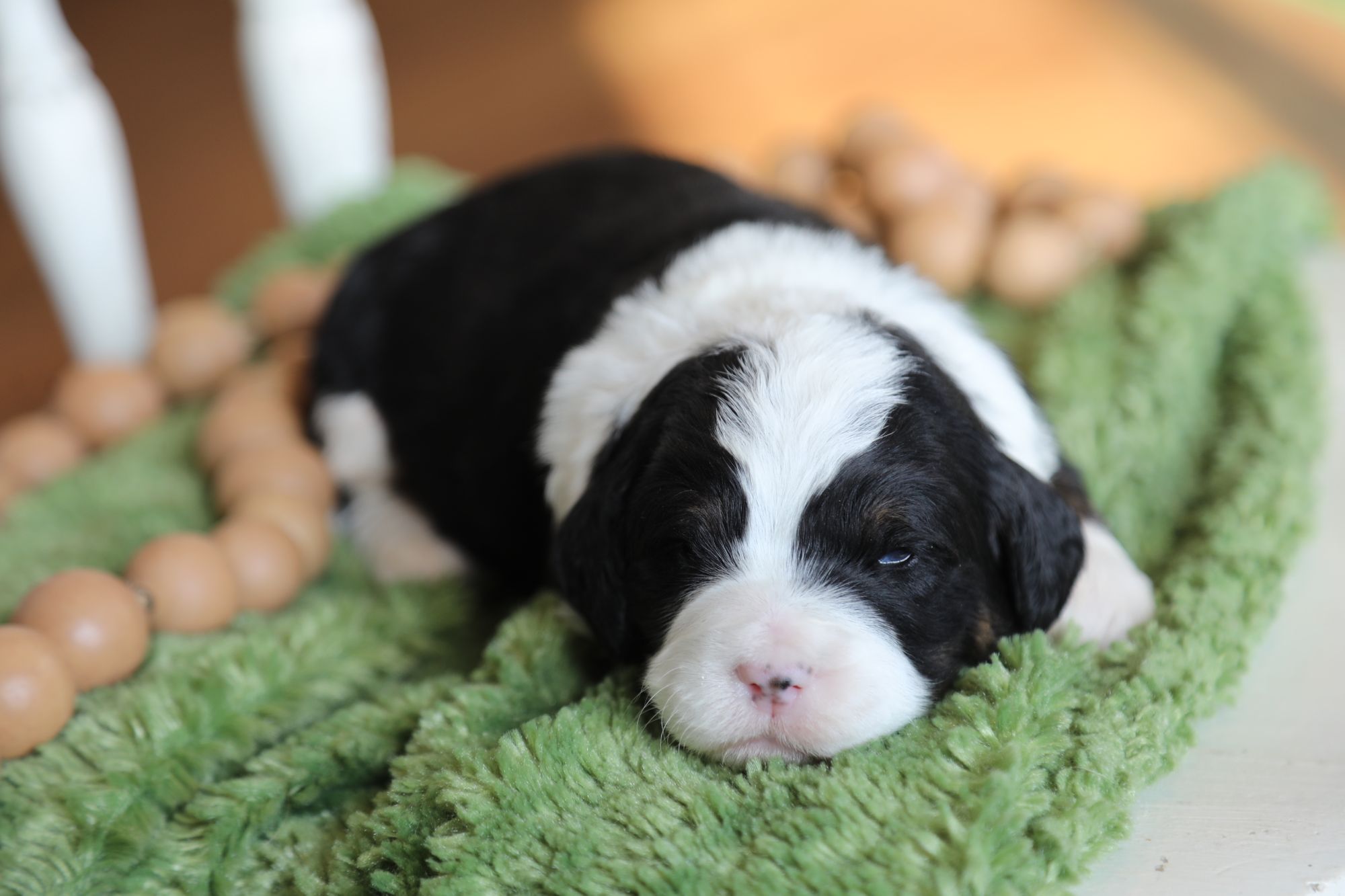 Chief • Click to Meet