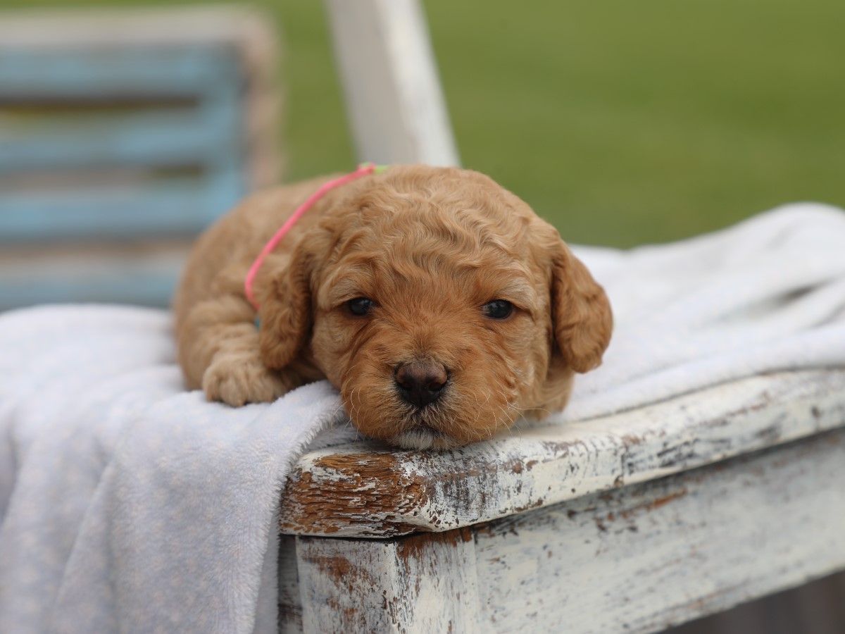 Flossie (2).JPG
