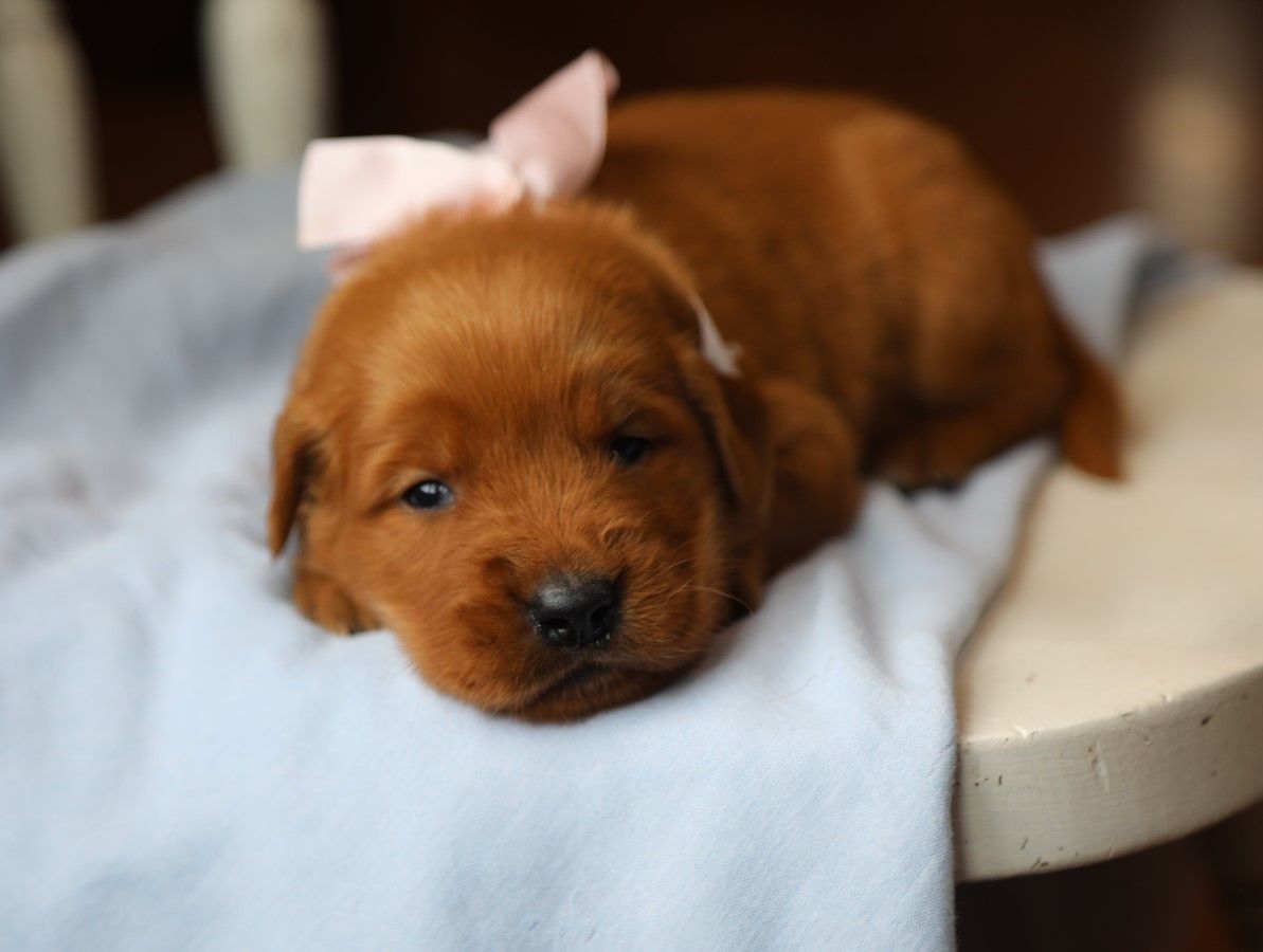 Bree (2).JPG