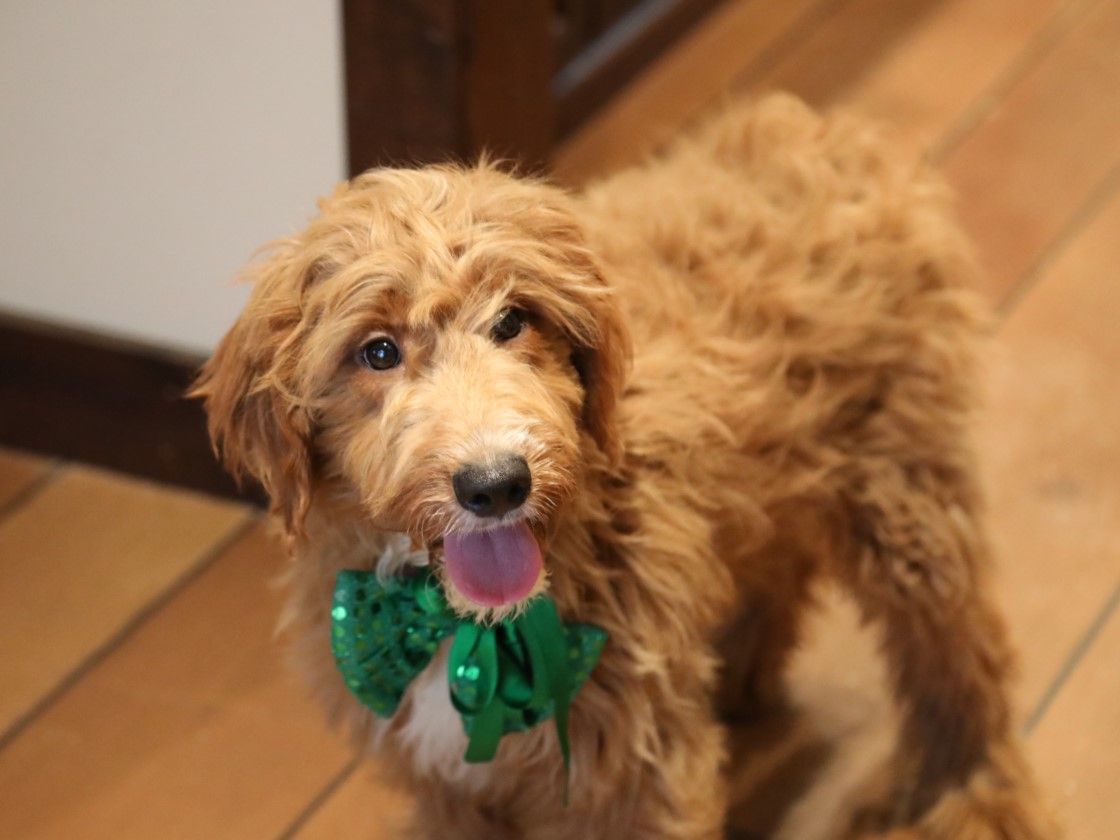Doug (4).JPG