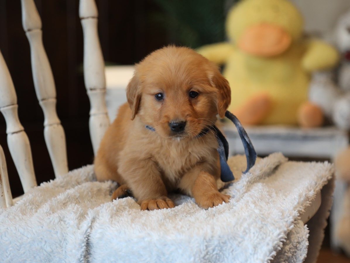 Sammy (2).JPG