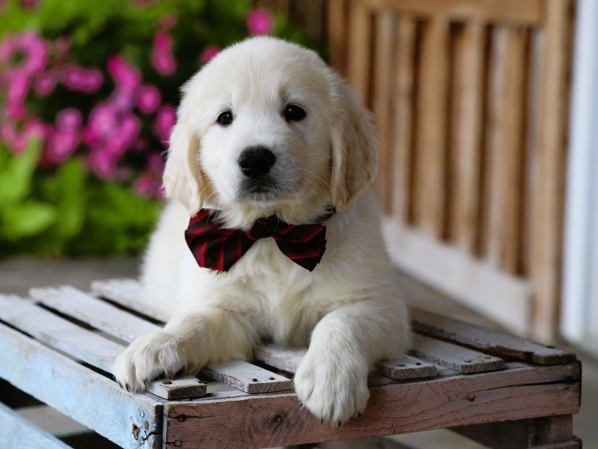 Edward • Click to meet