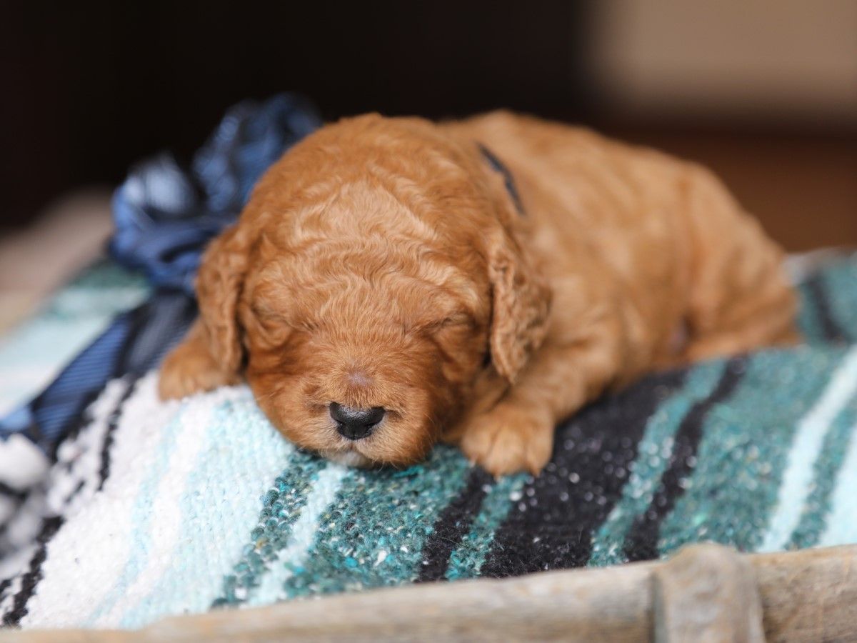 carter (4).JPG