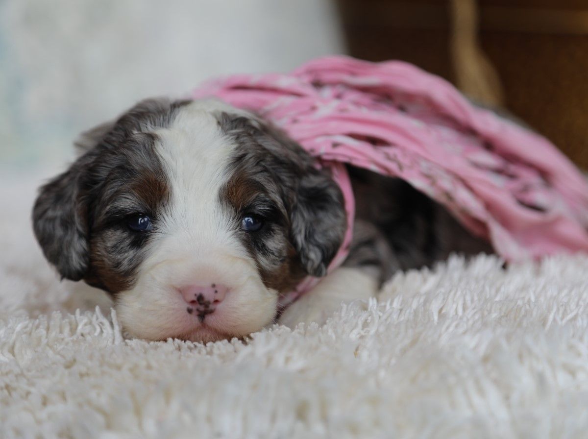 Jenna - click to meet