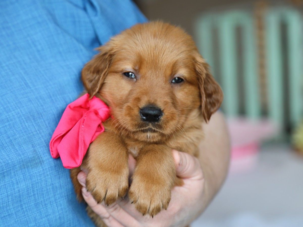 Bree • Click to meet
