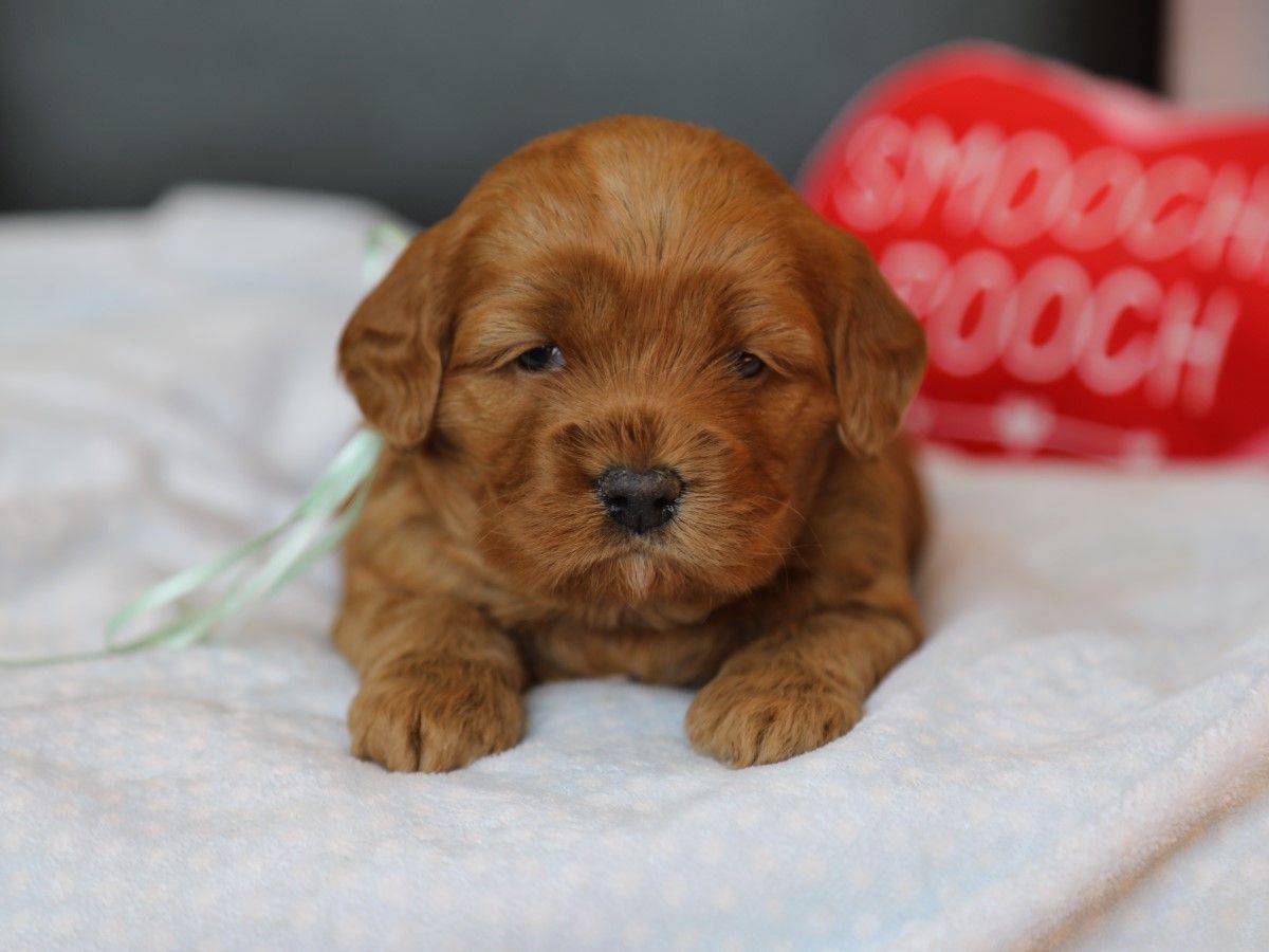 Winnie (4).JPG