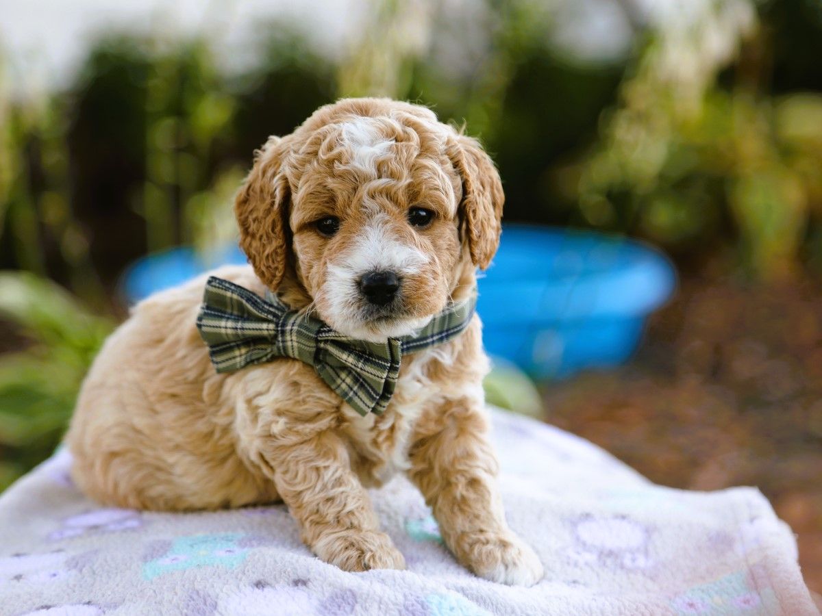  Malcolm • click to meet