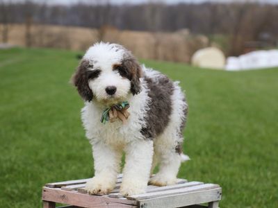 ZEUS • RESERVED