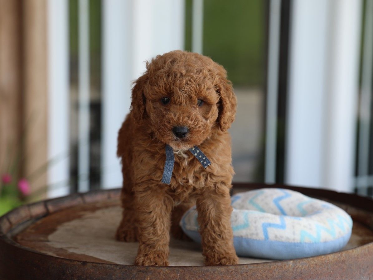 tex (9).JPG