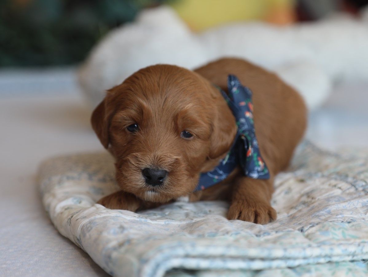 Truffle (4).JPG