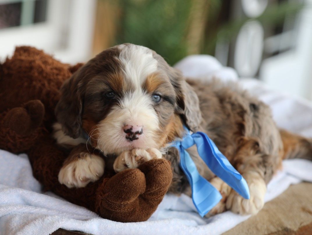 finn (5).JPG