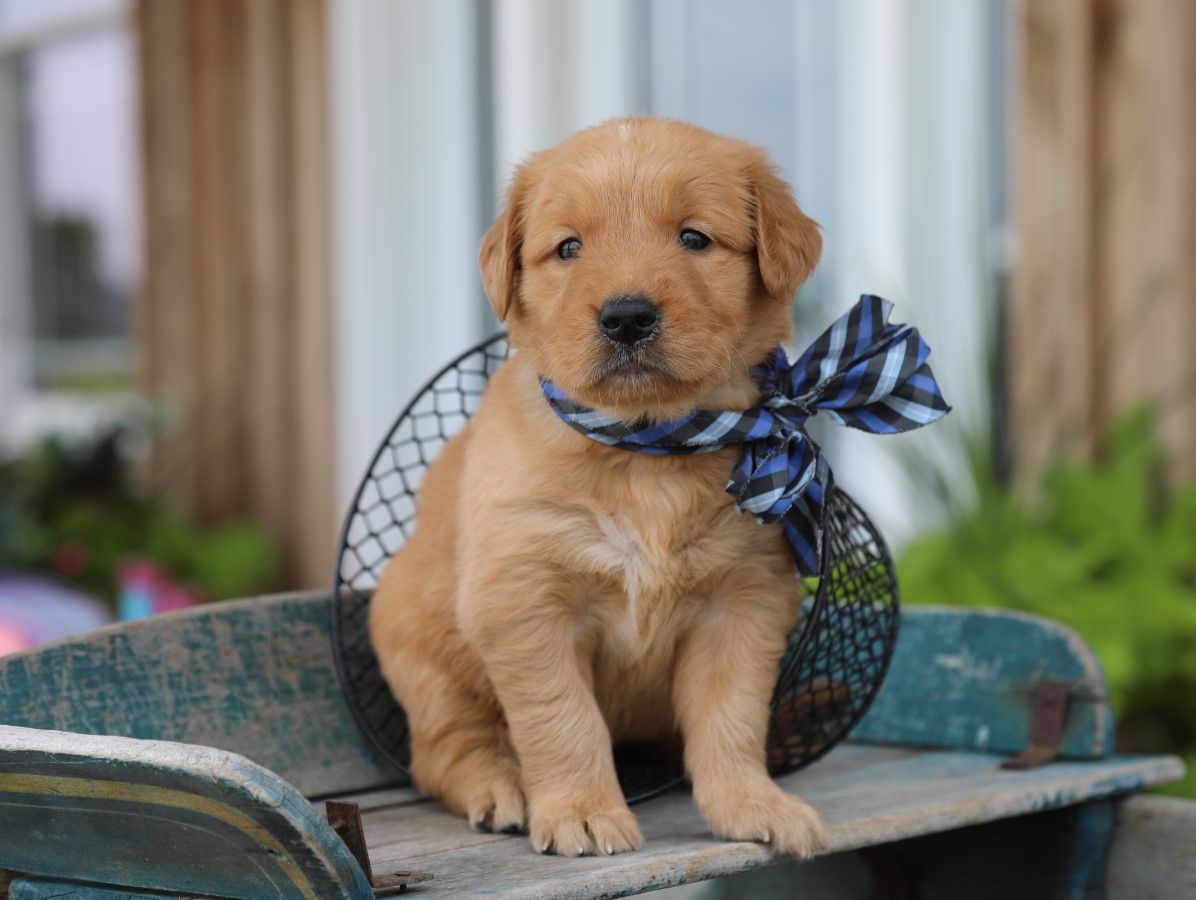 buster (1).JPG