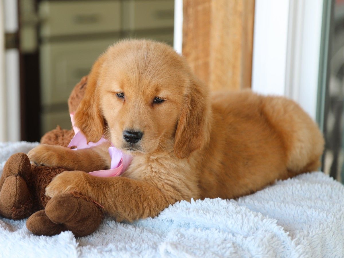 Madonna • click to meet