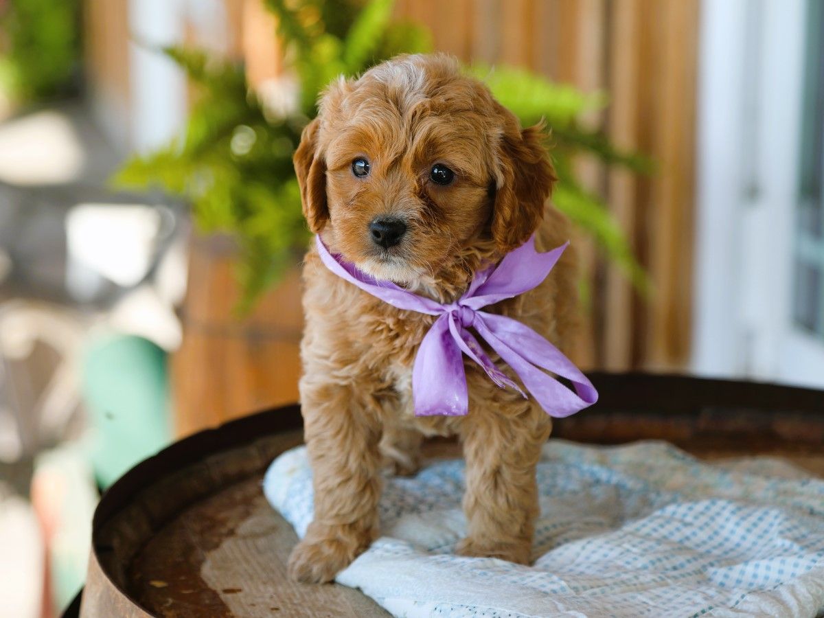  Beulah • click to meet