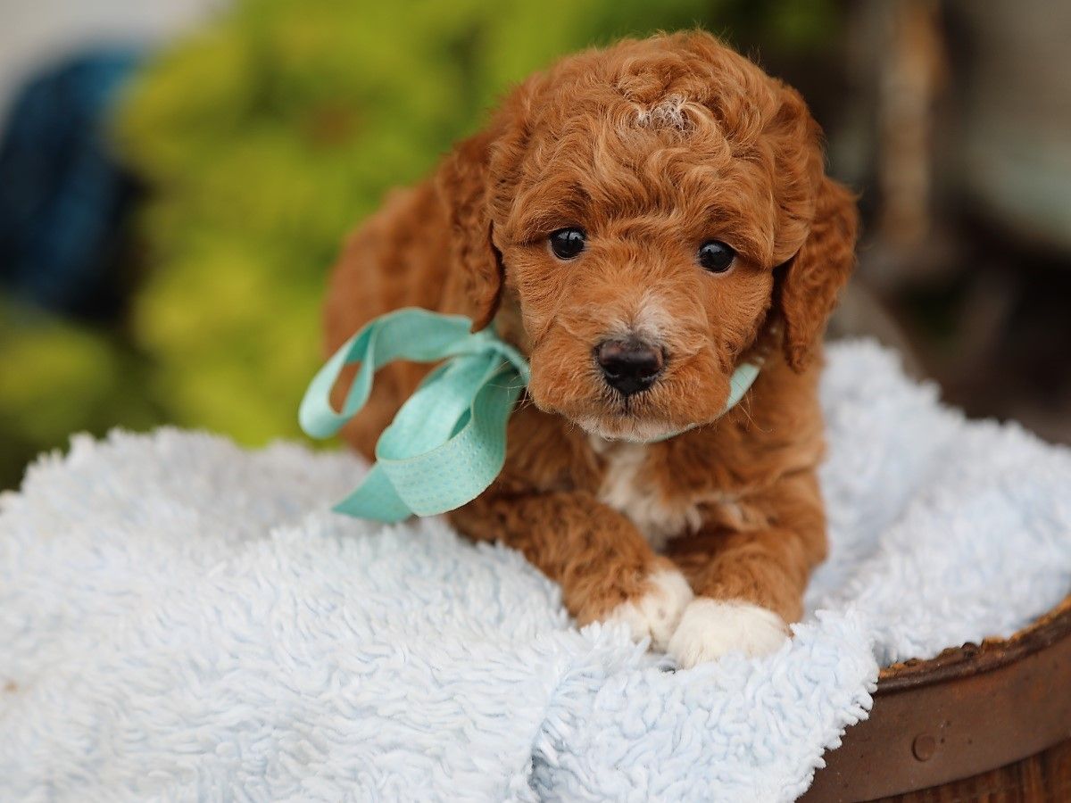 finnegan (3).JPG