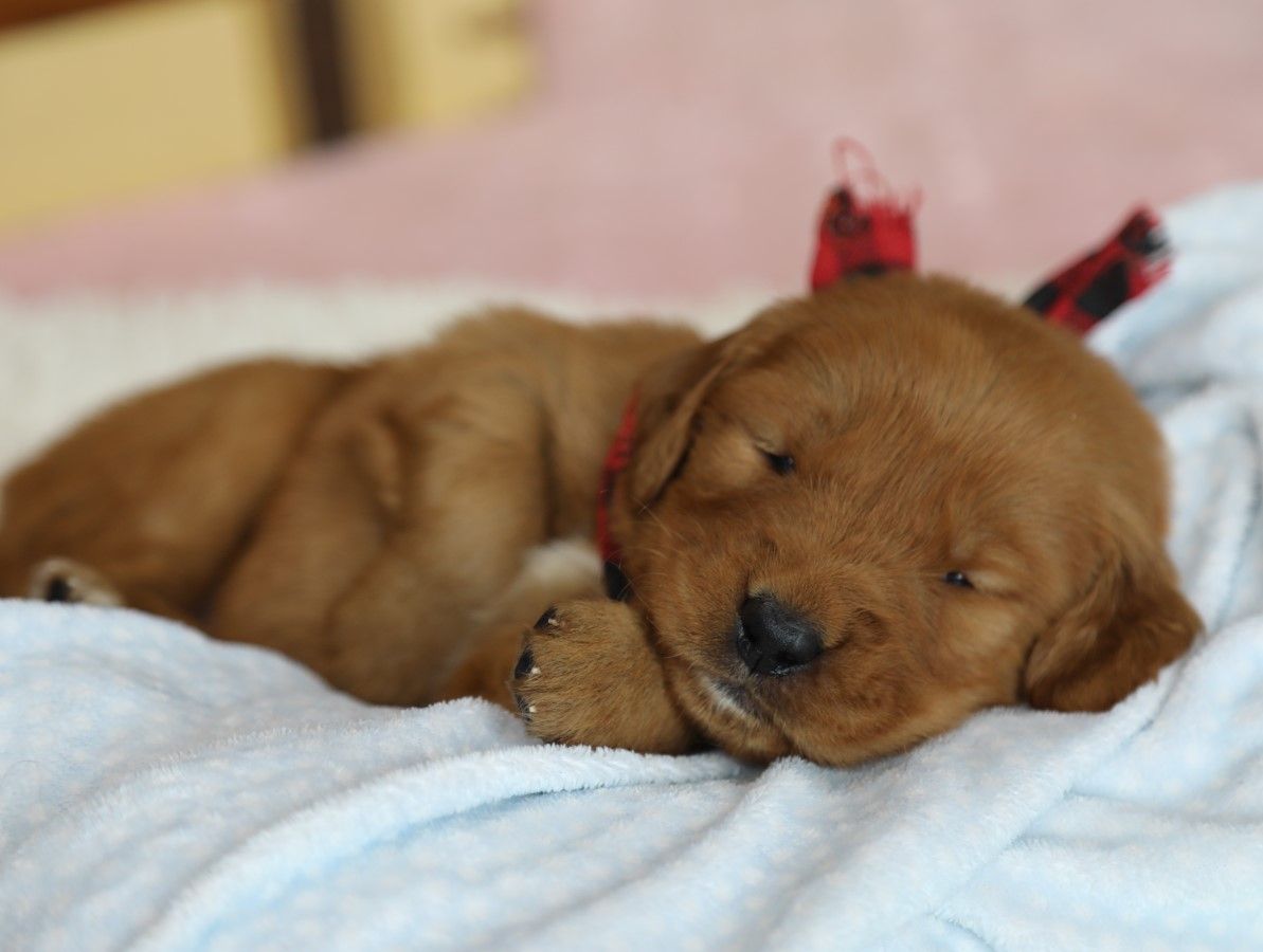 Sailor - Click to meet
