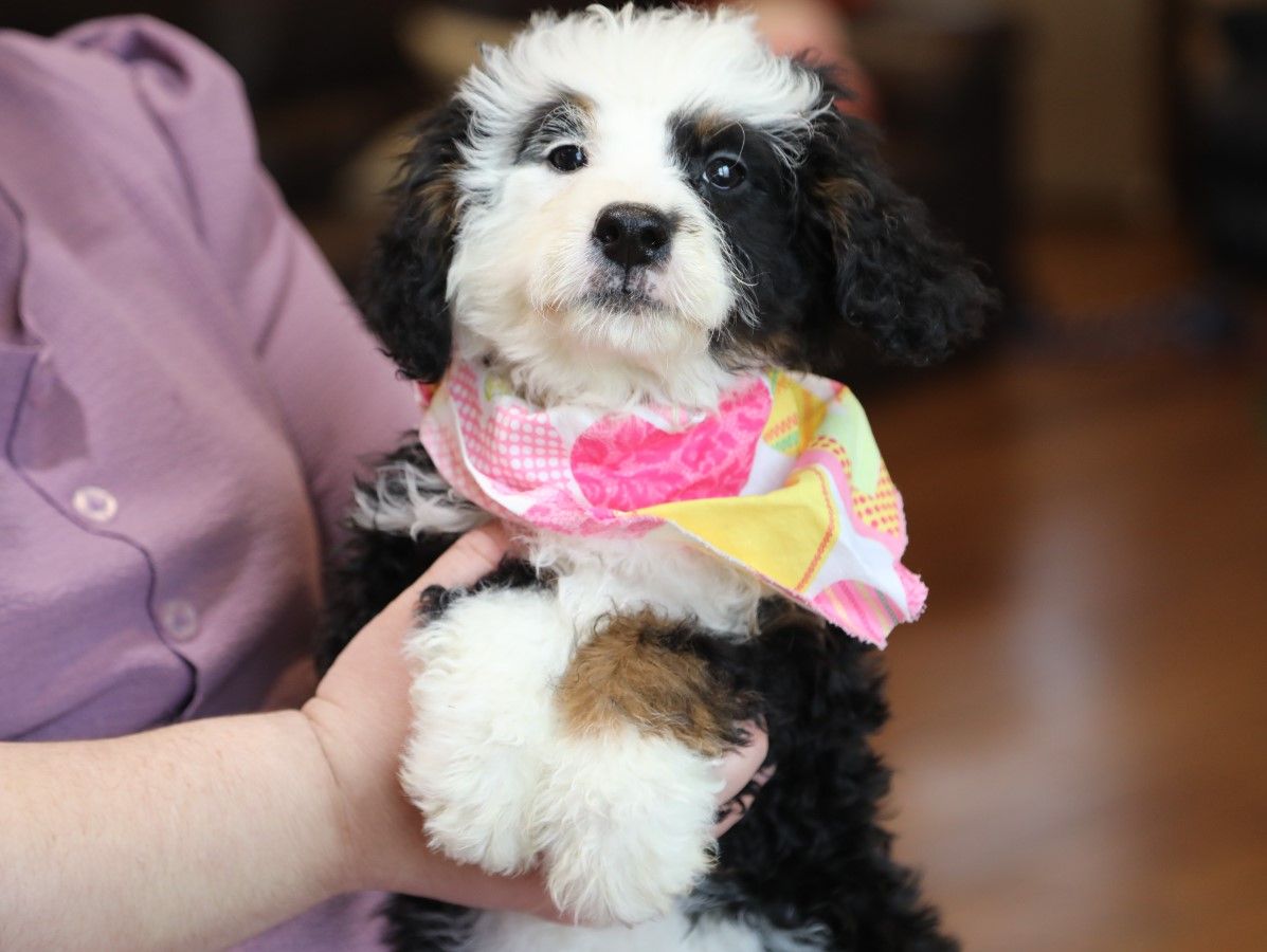  Helen - click to meet