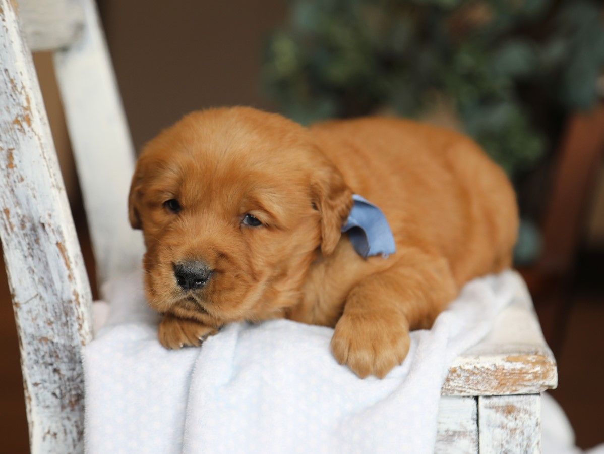 toby (3).JPG
