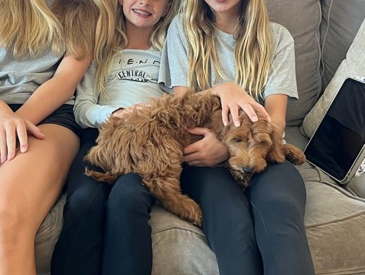 Encinitas, CA CULVER • HOMED