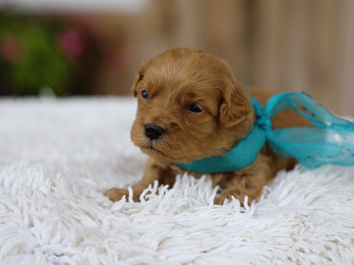 Liam (3).JPG