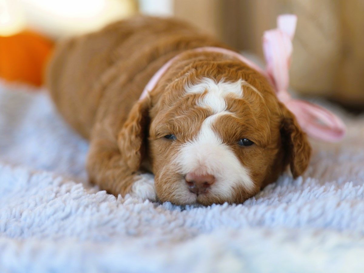 Yvonne • click to meet