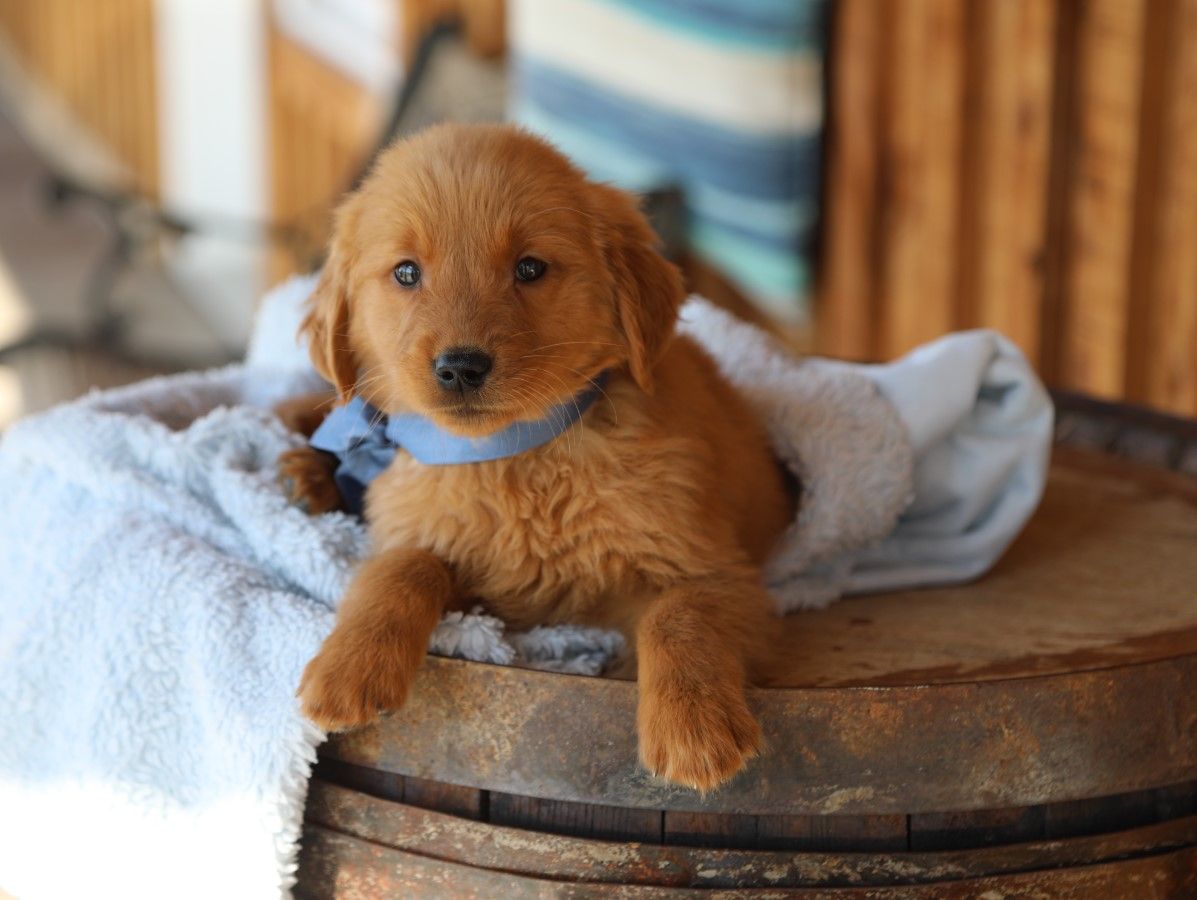 Booker (3).JPG