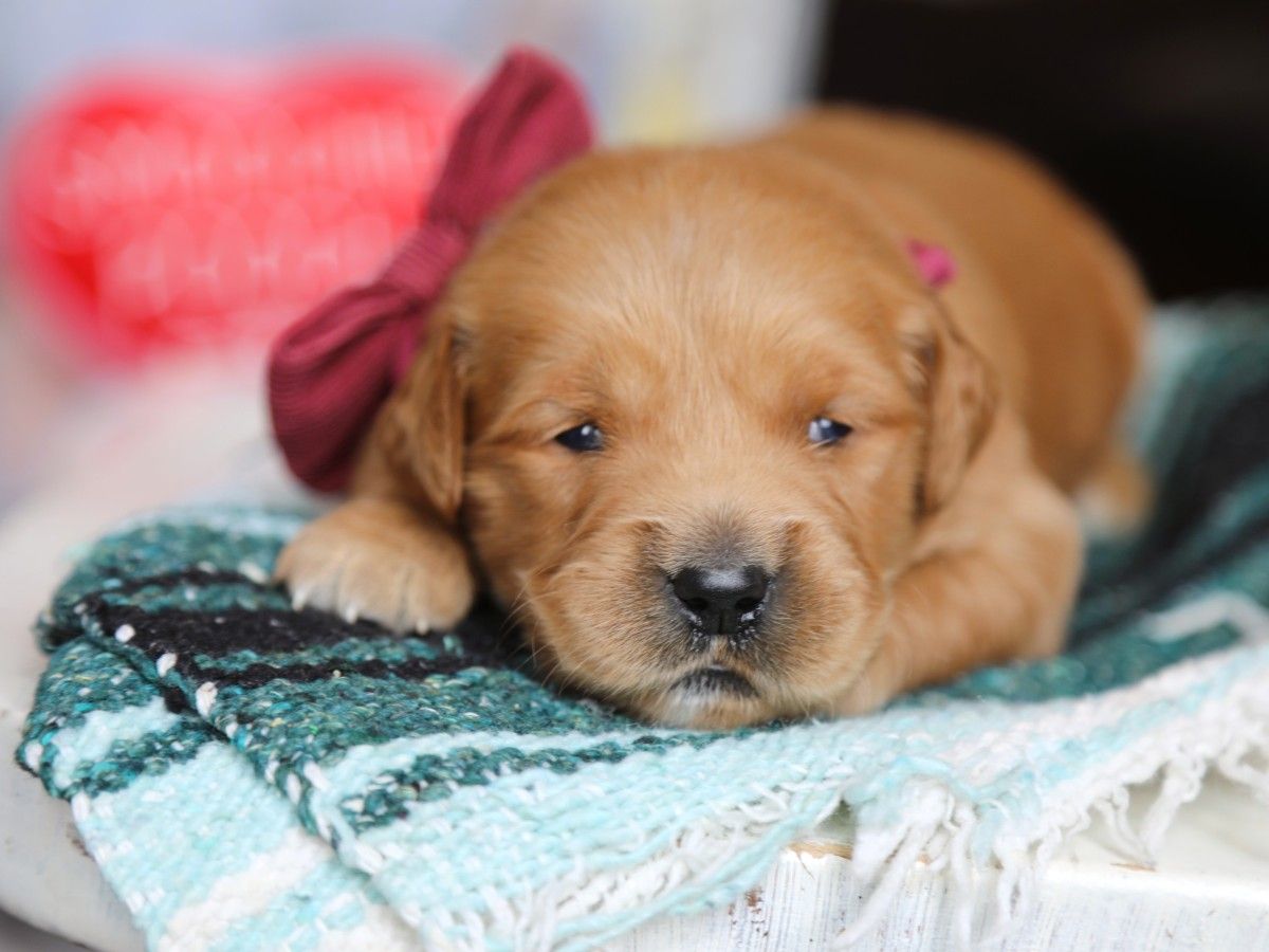 Madonna • click to meet