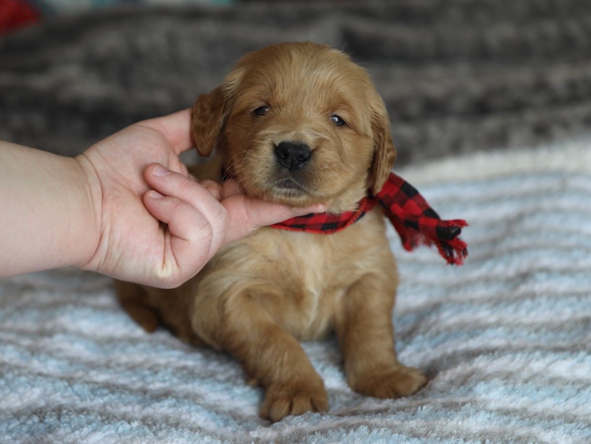 billy (2).JPG