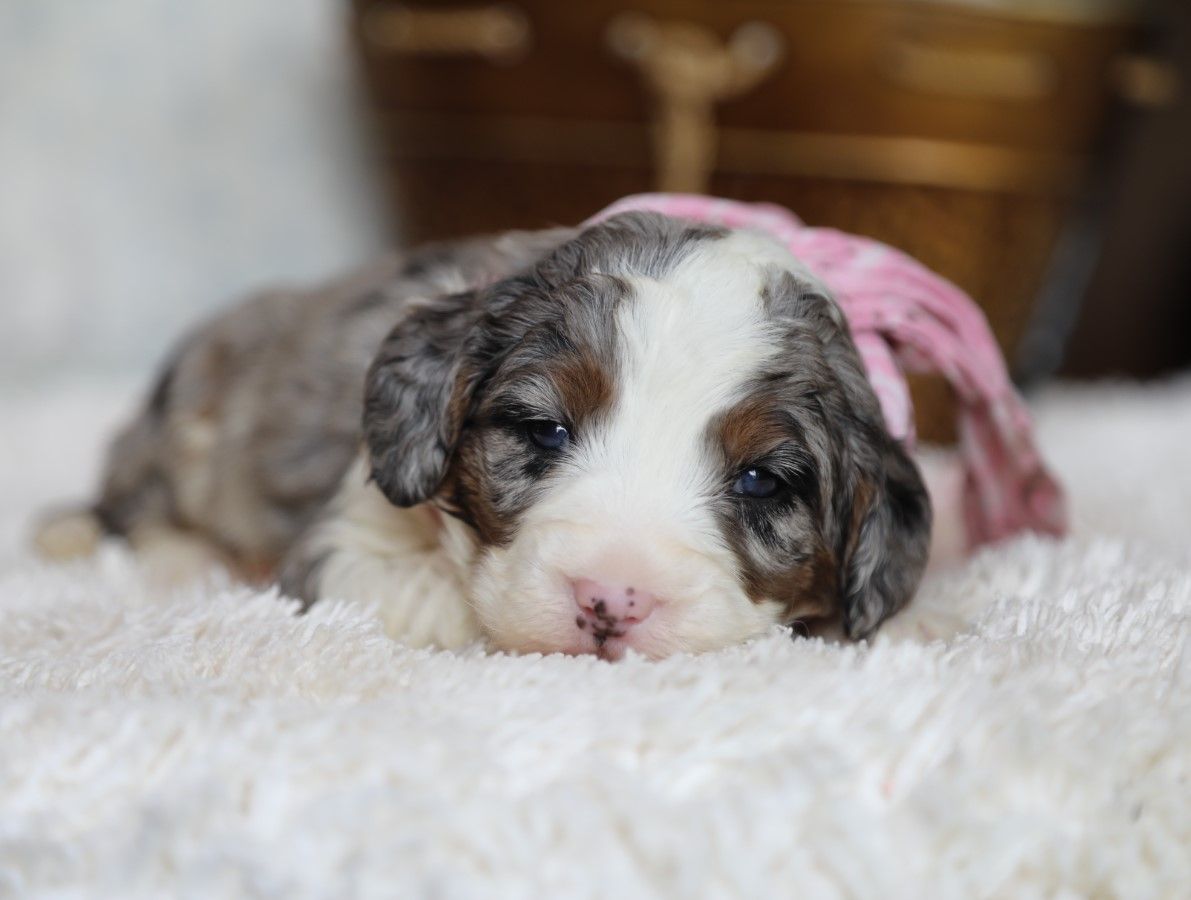 JENNA • RESERVED
